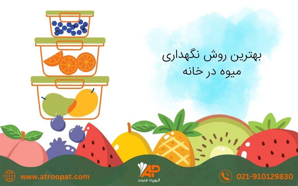 بهترین روش نگهداری میوه در خانه