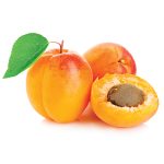 Apricot