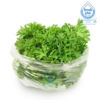 Parsley-2